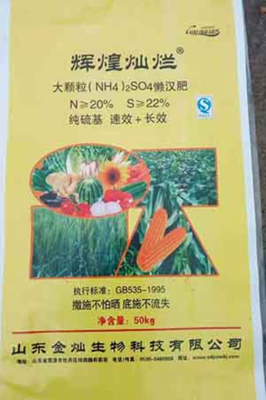 点击查看详细信息<br>标题：大颗粒懒汉肥 阅读次数：2237